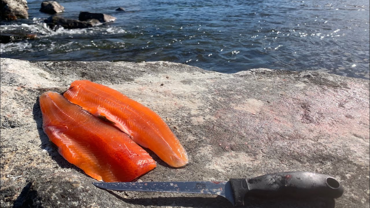 På nye Eventyr i Femundsmarka - Del 8