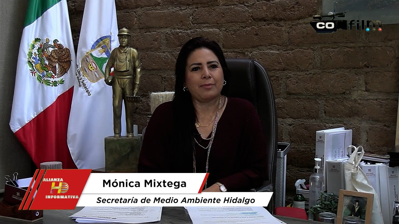 Acciones preventivas protegen bosques y calidad del aire ante temporada de incendios - Hidalgo