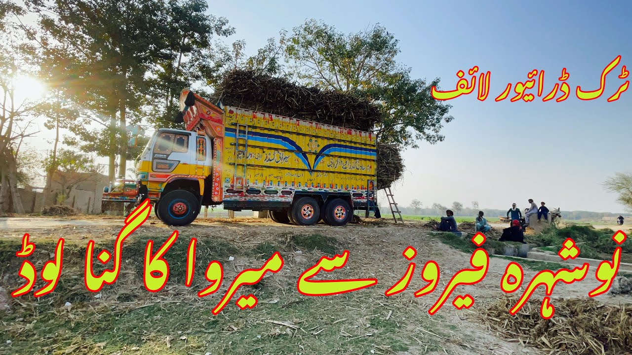 Sugarcane load from Nowshera Feroze to Merwa