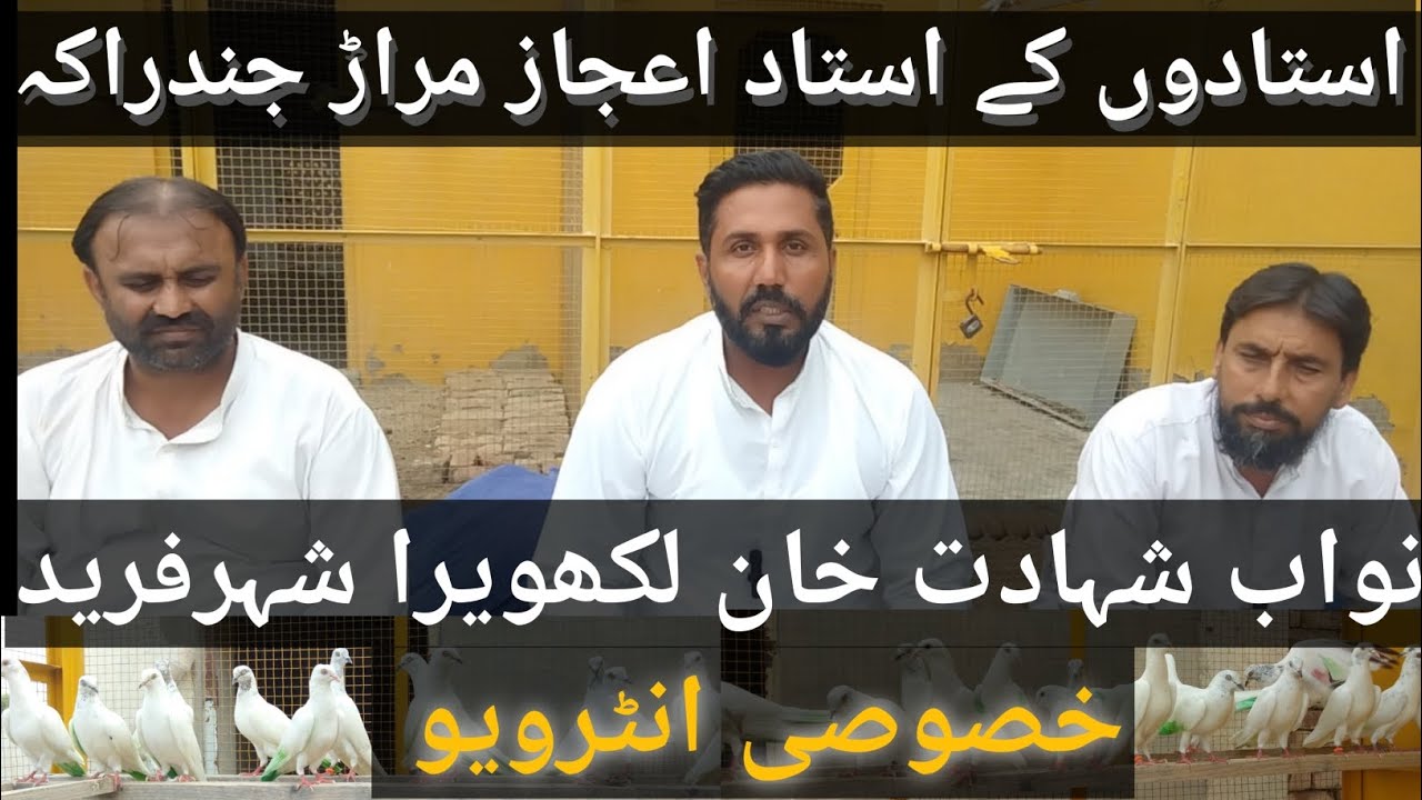 IK SHOK KABOOTAR BAZI DA INTERVIEW|| USTADU KE USTAD IJAZ MARAR|| NAWAB SHAHADAT KHAN LAKHWERA