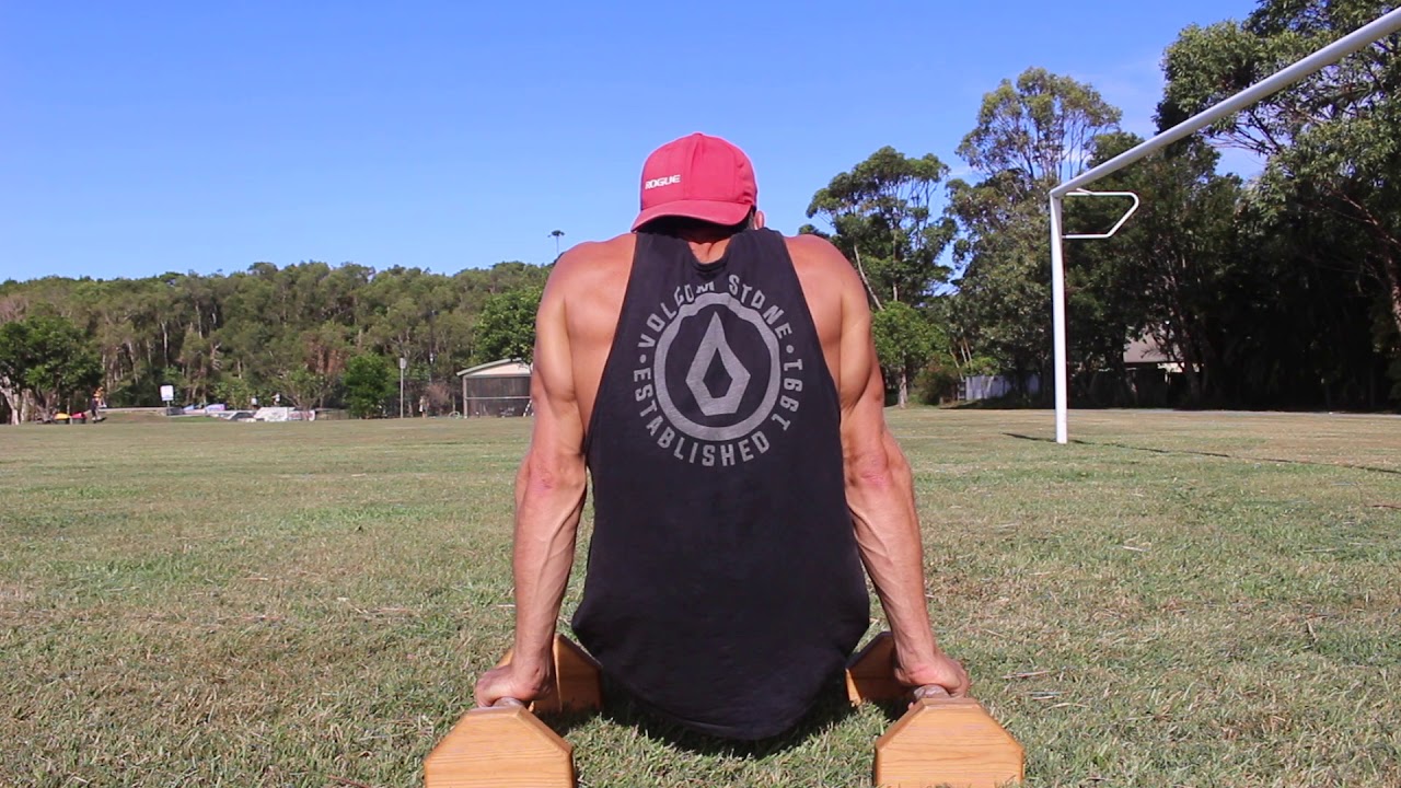 L-Sit, Tuck, Single Leg Lifts, on P-bars