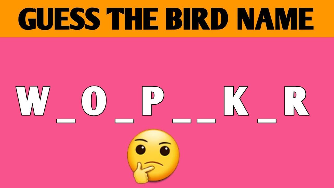 Guess the BIRD name | Find the bird name | Word Game | Riddle Hunt