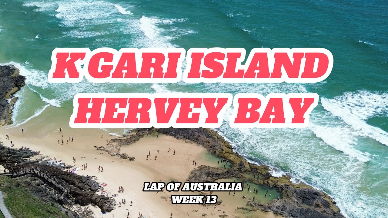 Lap of Australia: WILD Dingo encounter at K’Gari / Fraser Island 