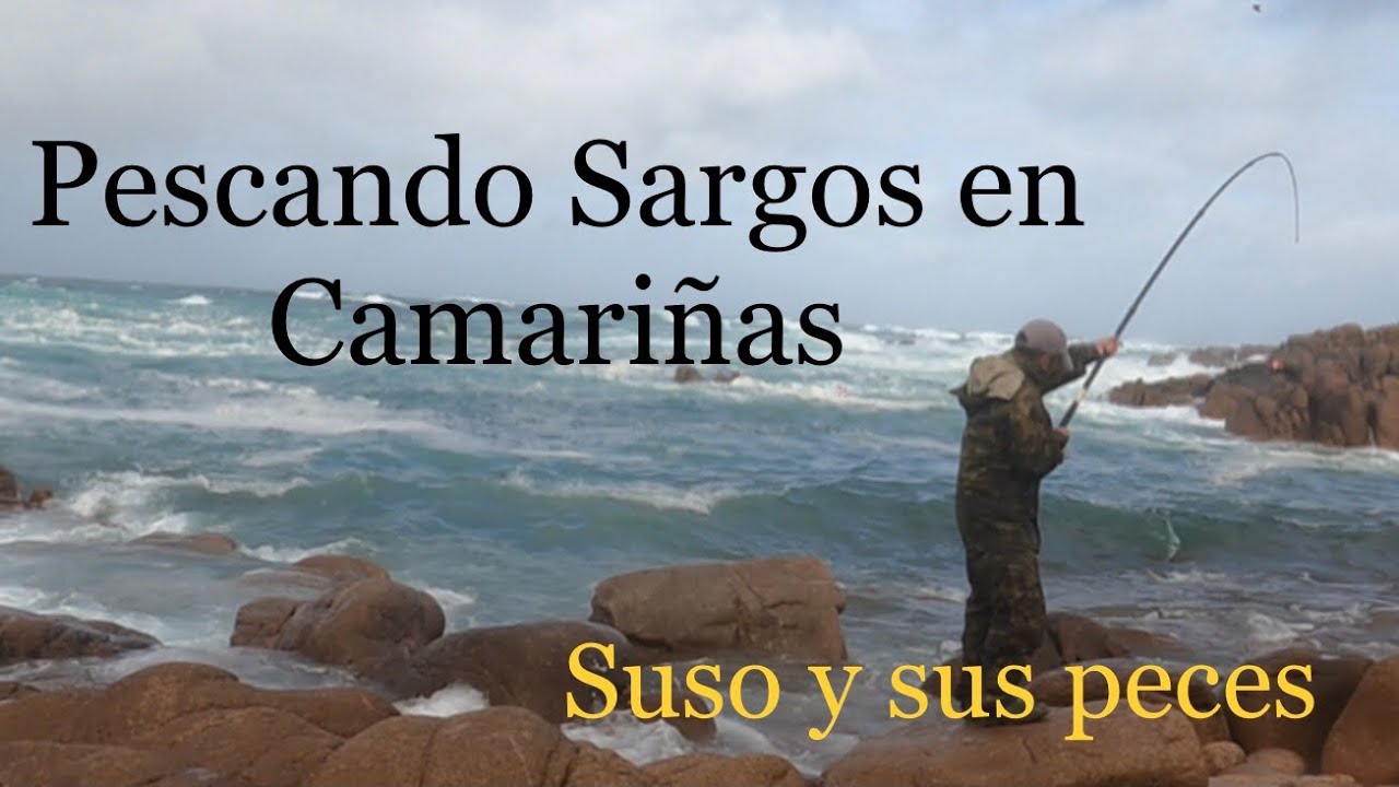 Pescando sargos por Camariñas