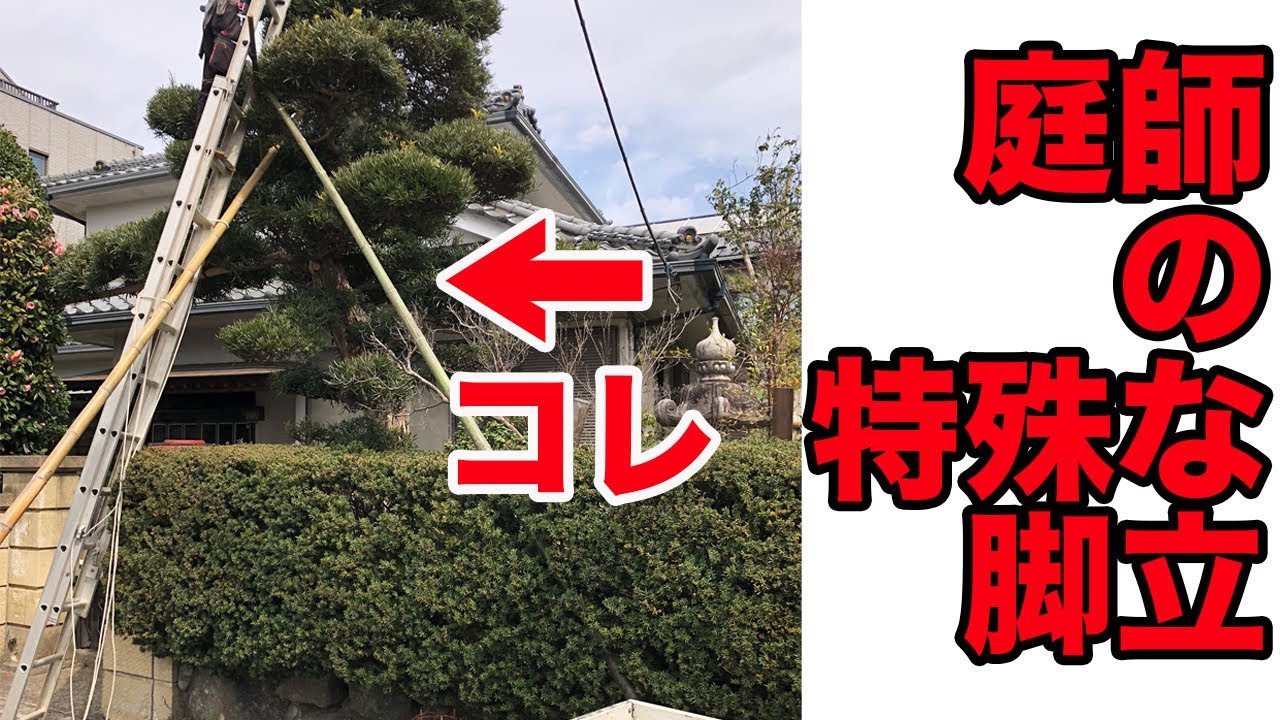 庭師の特殊な脚立の掛け方を紹介