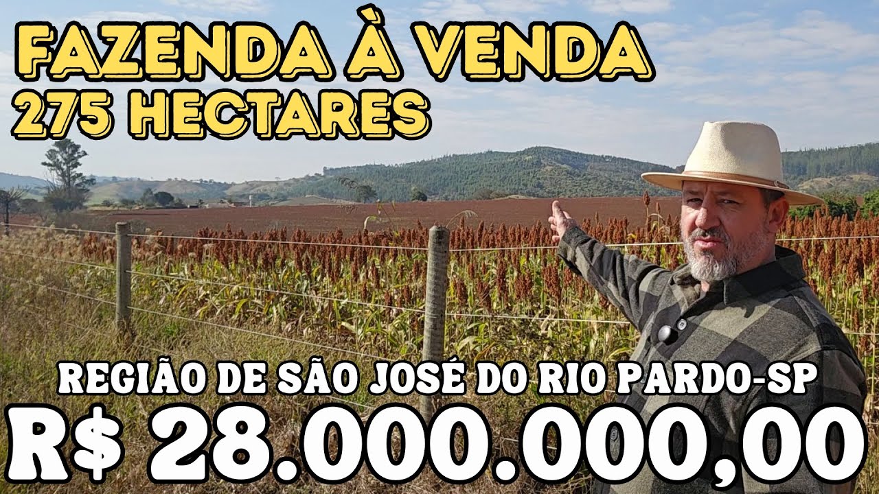 Fazenda com 275 hectares à Venda, na região de São José do Rio Pardo-SP