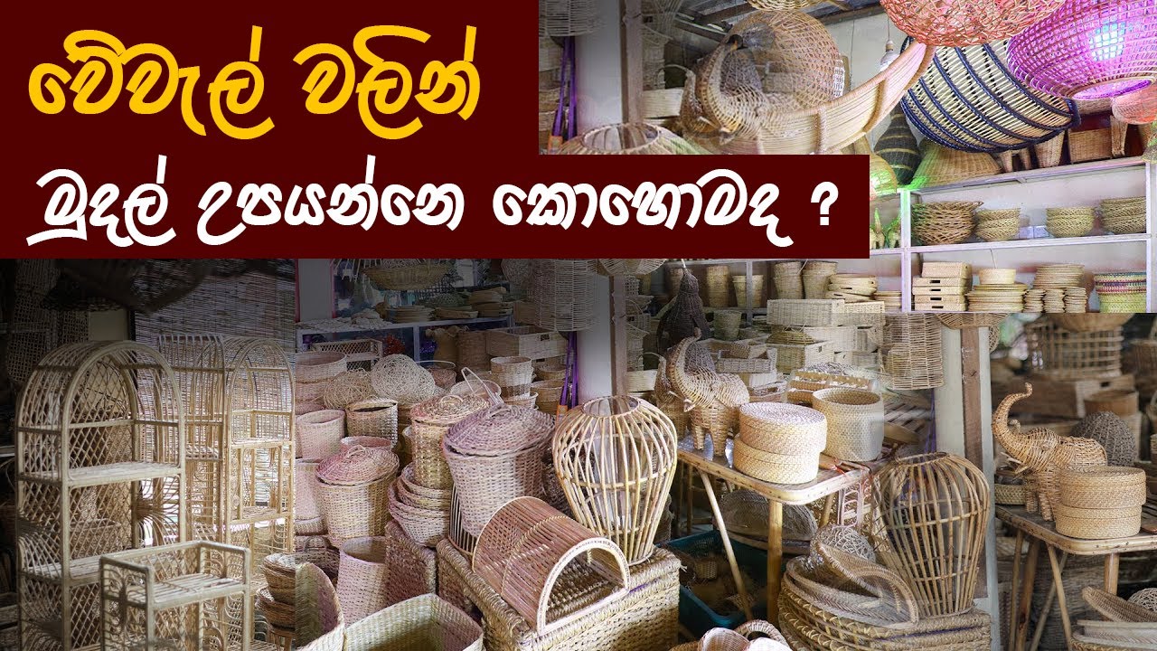 ඩොලර් ගේන වේවැල්දෙණියේ වේවැල් කර්මාන්තය | How to Make Cane Industry in Sri Lanka