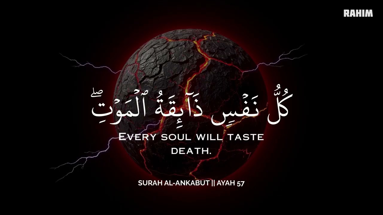أرح سمعك وقلبك بالقرآن - تلاوة تقشعر لها الأبدان بصوت محمد هشام | Mohamed Hesham | ❤️🎧