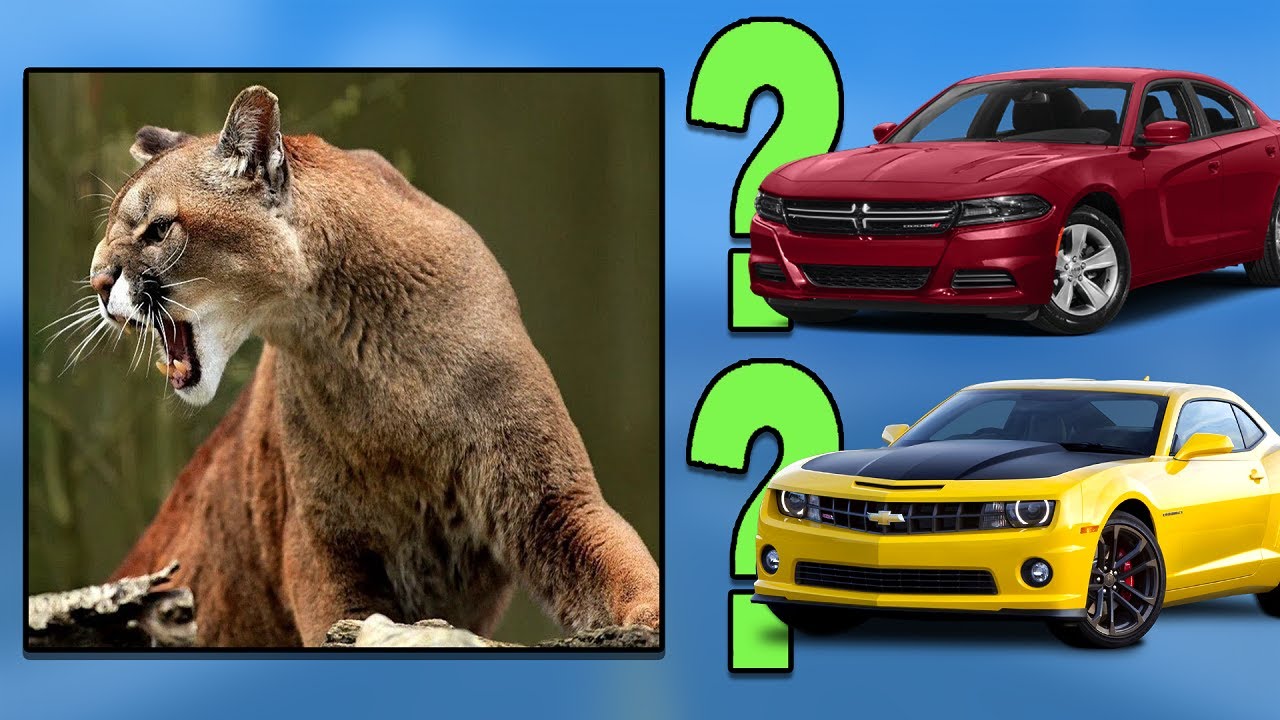 GUESS THE CAR BY THE ANIMAL | Car Quiz Challenge