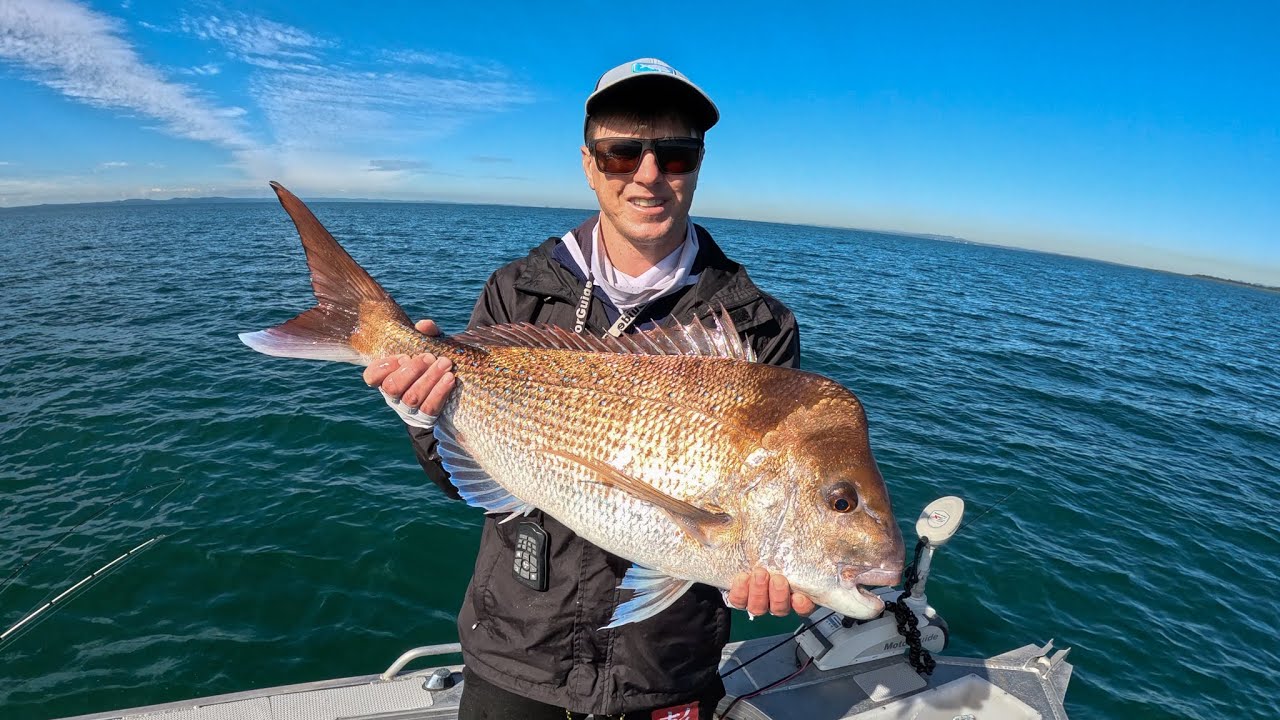 Moreton Bay - Big Fish on Small Lures and Light Gear!