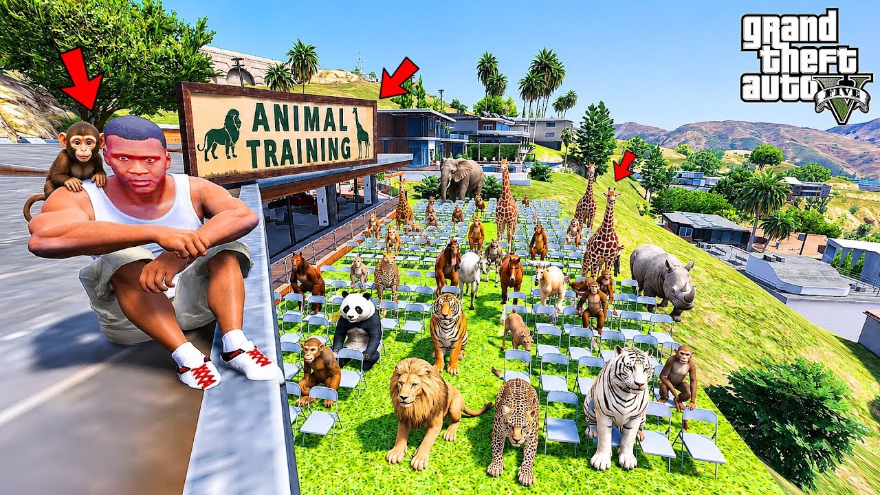 Franklin Open Animal Training School in GTA 5