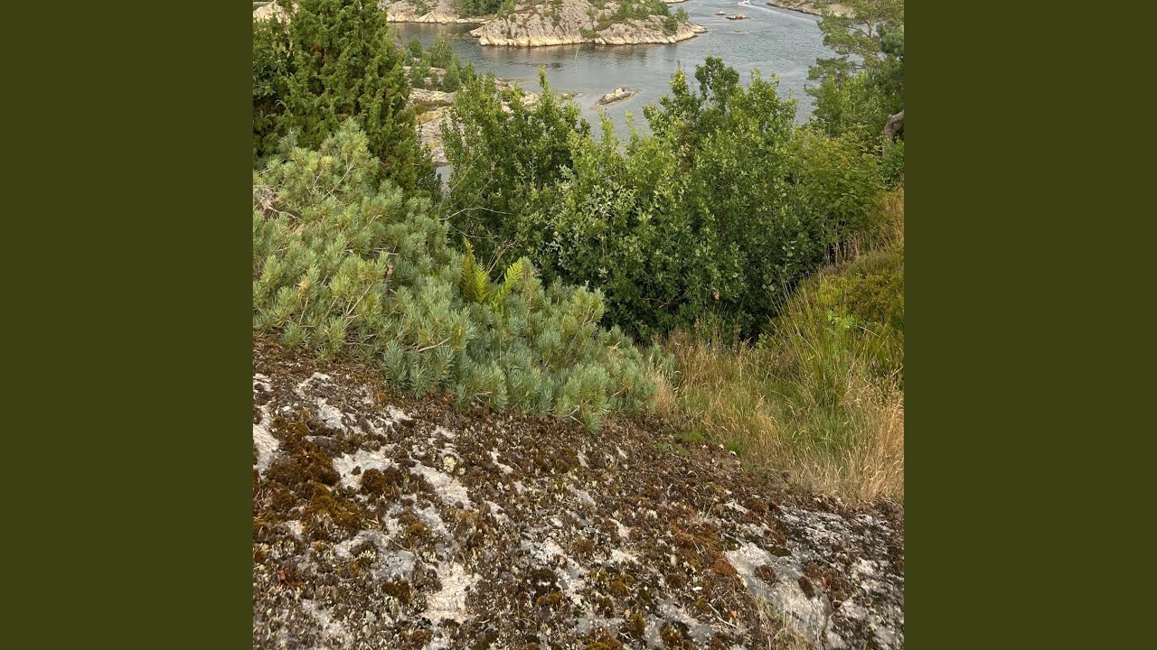Nu Är Vi På Väg