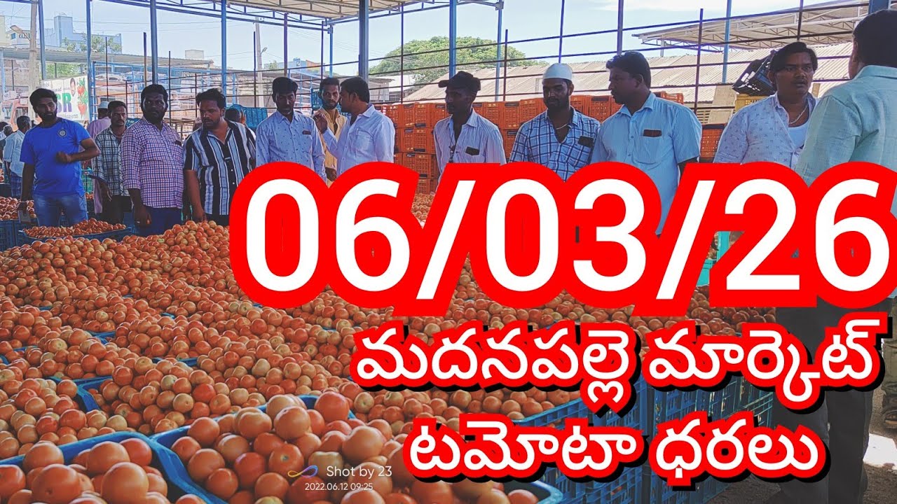 06-03-26 Madanapalle Tomato Market price Today || Today Tomato Market Rate in Madanapalle #today