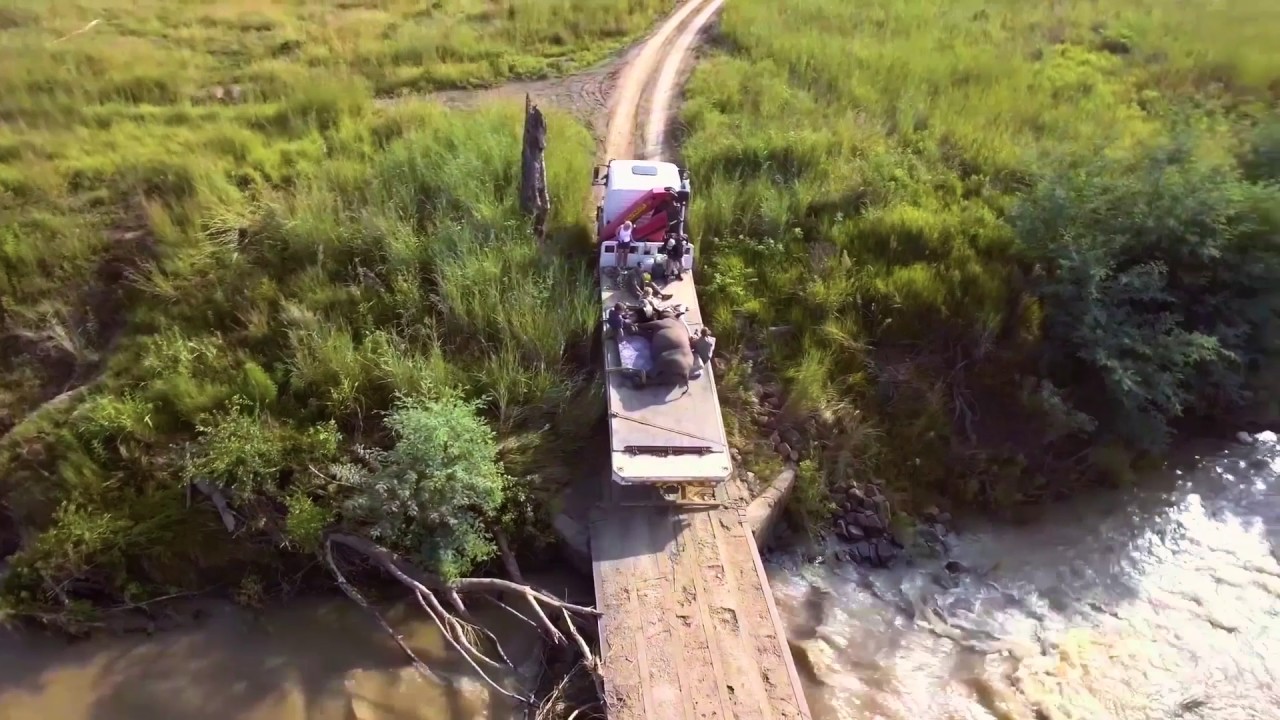Drones Over Nambiti Private Game Reserve