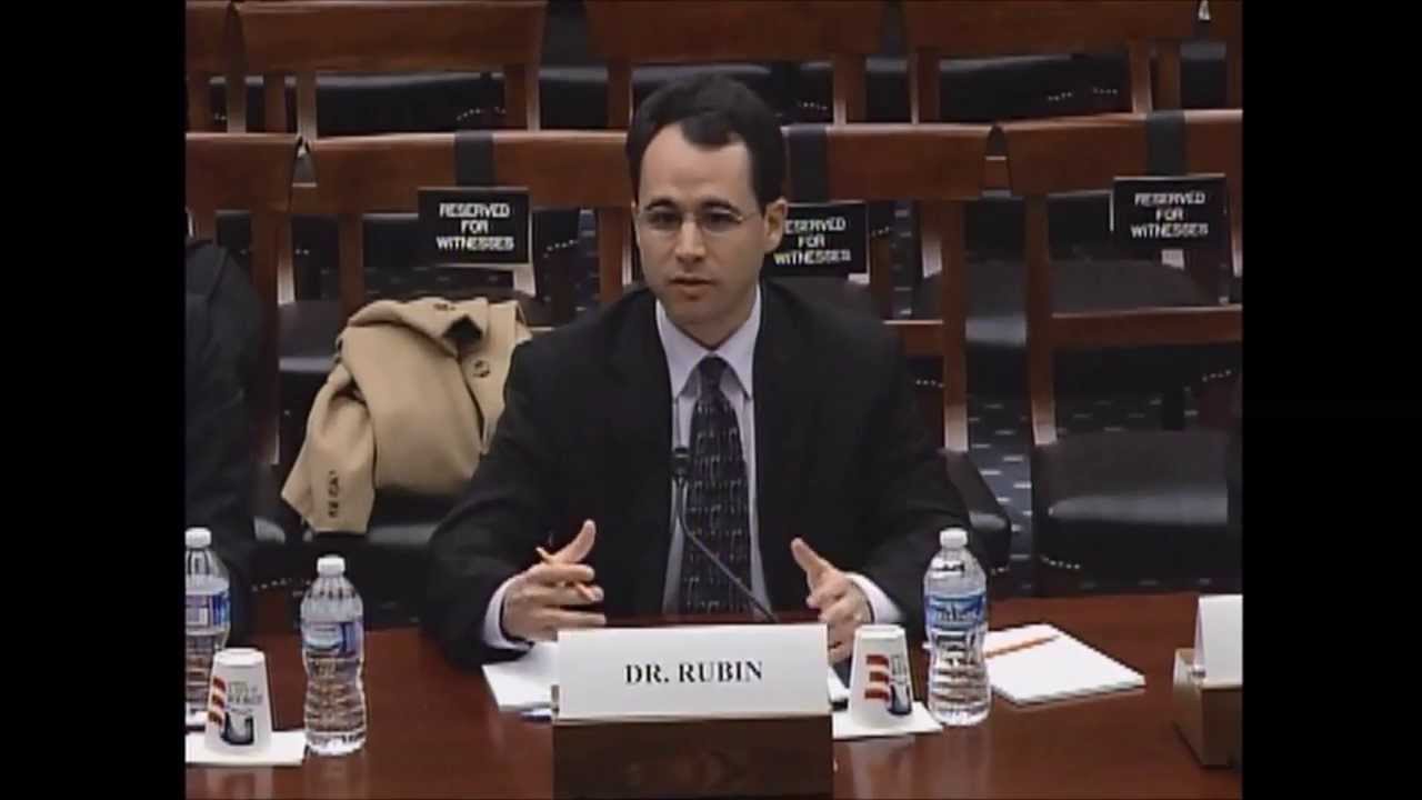 2013.11.19 - Dr. Avi Rubin - Testimony