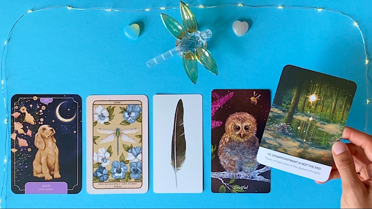 They Left You a Message ✨🩵🪶 Psychic Reading 💫