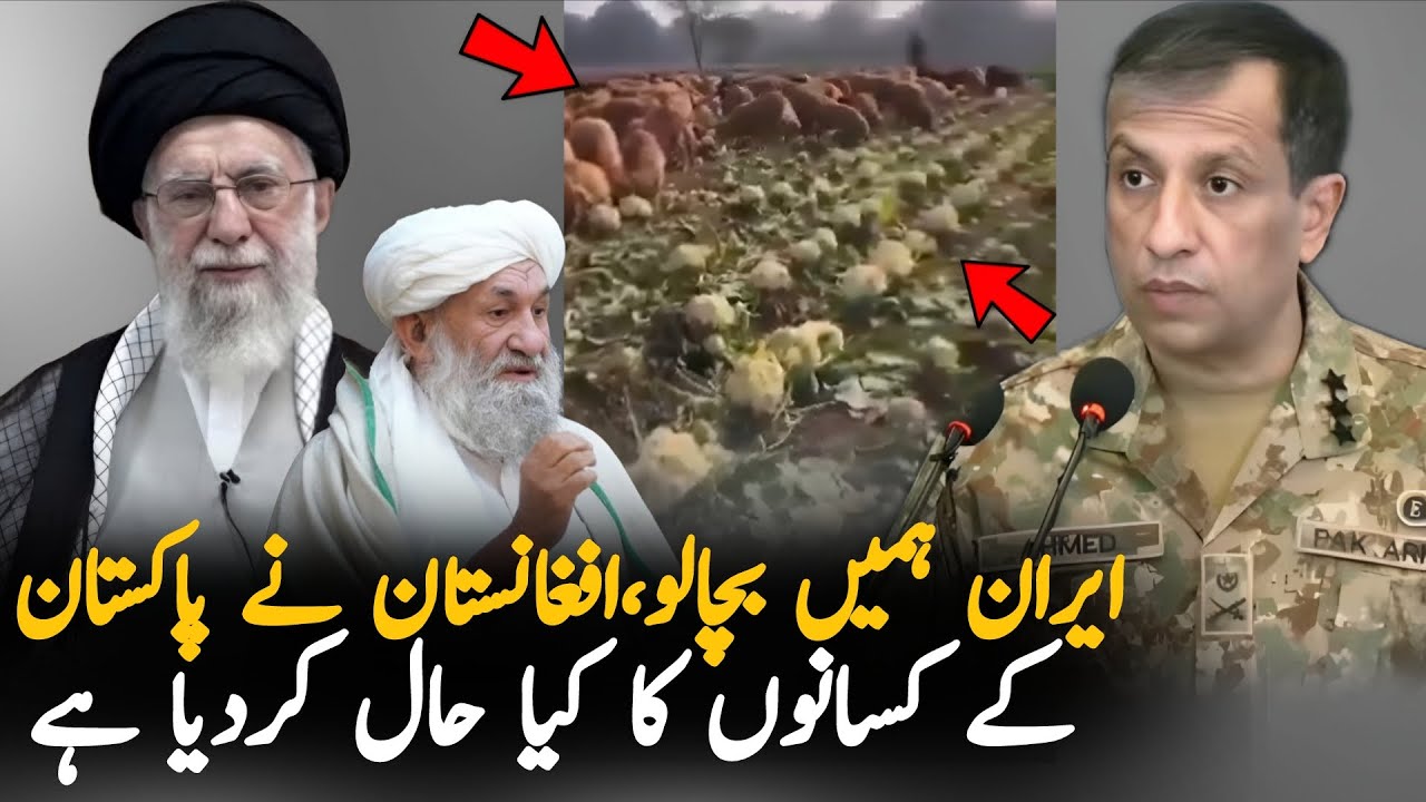 Pakistan Seeks Iran's Help After Afghanistan Trade Ban | Regional Tensions Rise