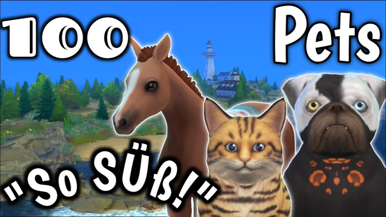 Das FOHLEN ist da! 😍 Sims 4 ||100 Pets Challenge ||#33 [Deutsch]