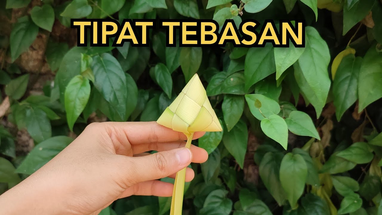 CARA MEMBUAT TIPAT TEBASAN / TIPAT SEET