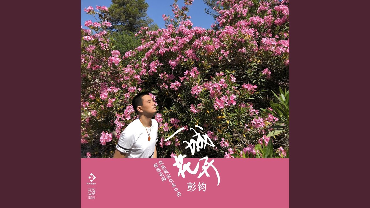 一城花开