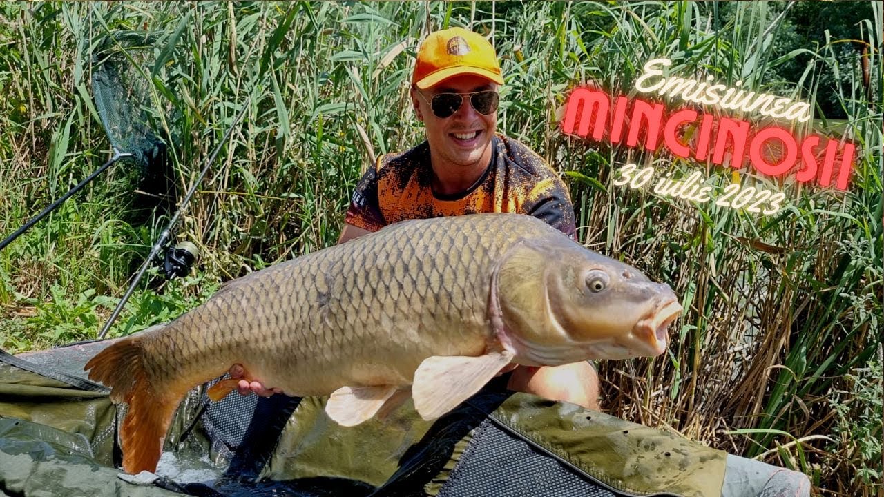 Mincinoșii - 30 iulie 2023