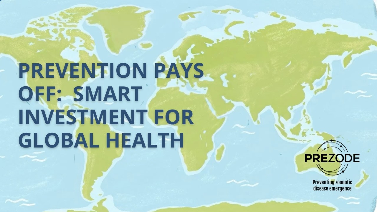 Prevention pays off: smart Investment for global health