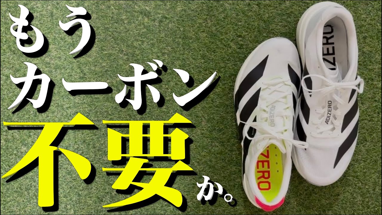 最近のジョグシューズが凄すぎる(JAPAN9とEVOSLレビュー)