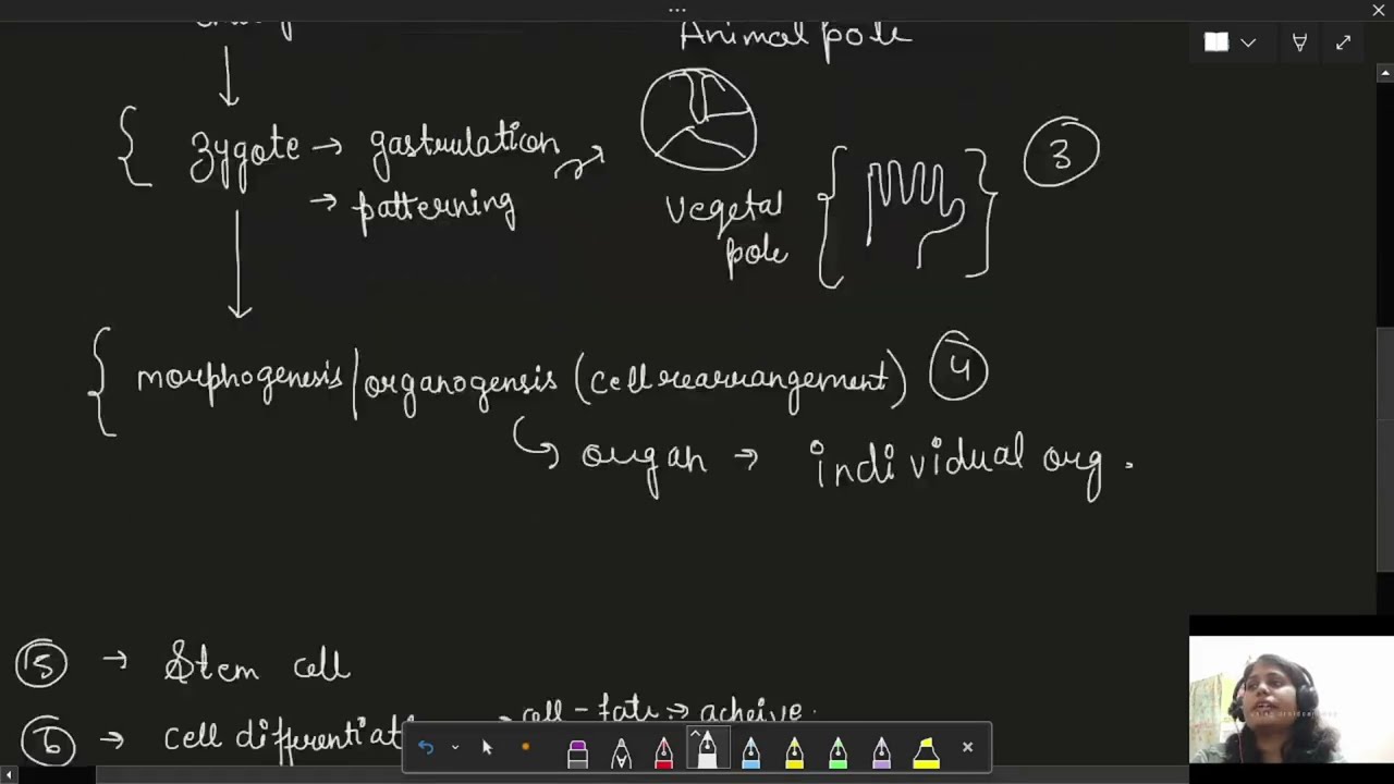 What If You Had Only 10 Days for Developmental Biology ?