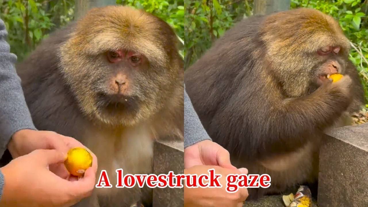 Xingxing: I've Loved Eating All My Life. Can You See The Look In My Eyes?