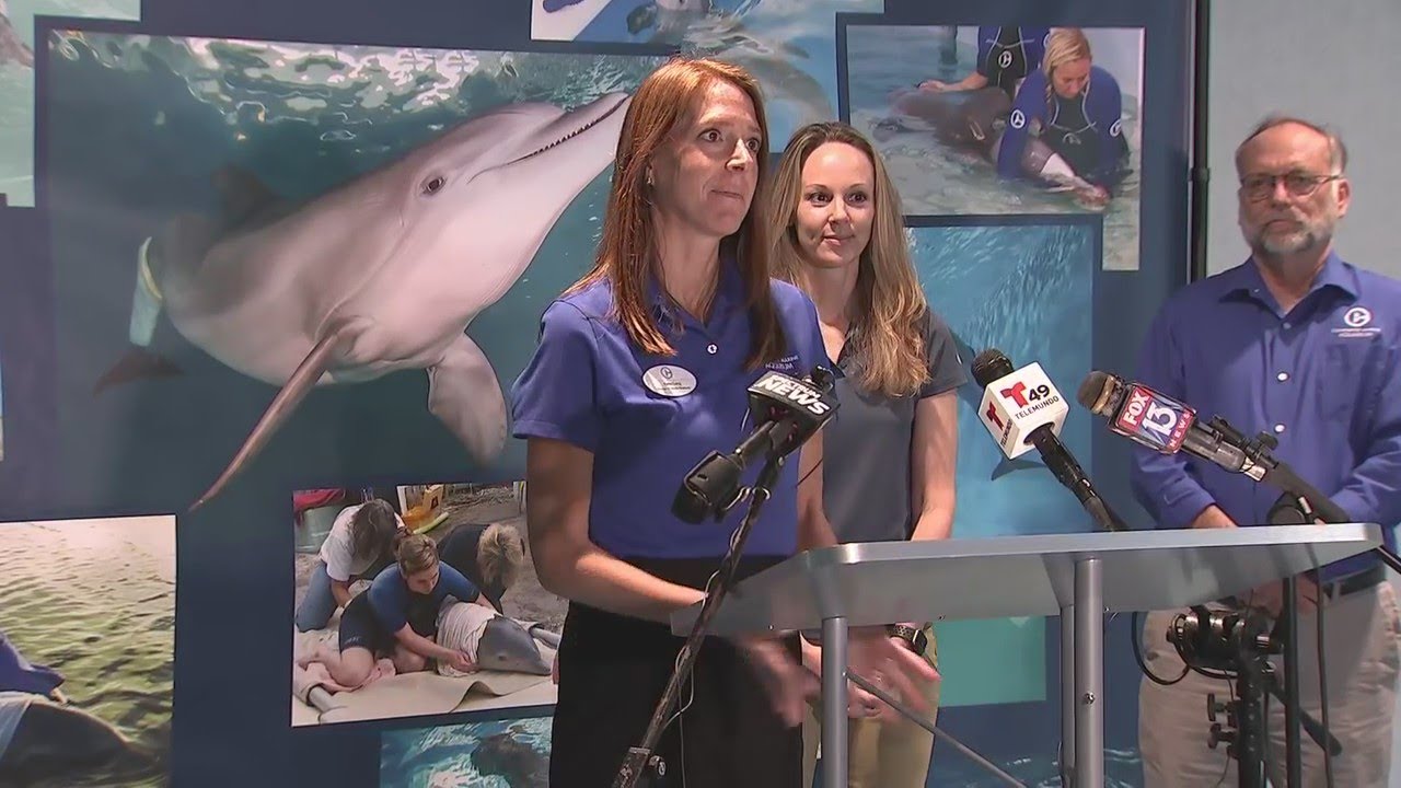 How did Winter the Dolphin die? Veterinarians reveal necropsy results