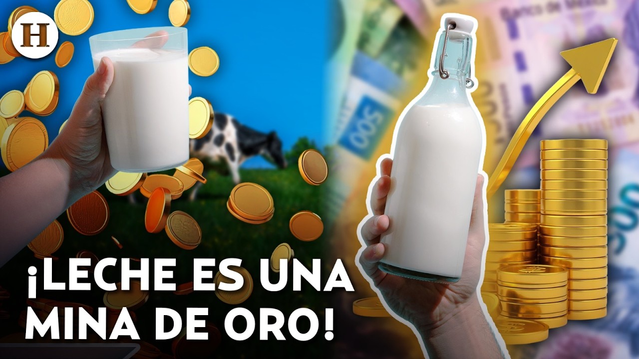¡Buscan potenciar al sector! México produce más de 13 mil 800 millones de litros de leche al año