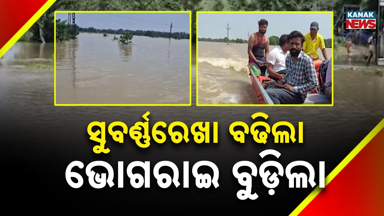 ସୁବର୍ଣ୍ଣରେଖା ବଢିଲା, ଭୋଗରାଇ ବୁଡ଼ିଲା | Flood In Balasore! Subarnarekha Rises, Bhograi Goes Under Water