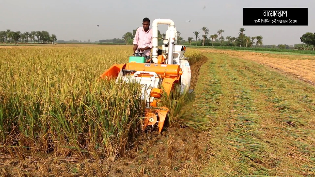 ধান কাটা, মাড়াই ও বস্তাবন্দি একসাথে-কম্বাইন হার্ভেস্টার-আজব মেশিন