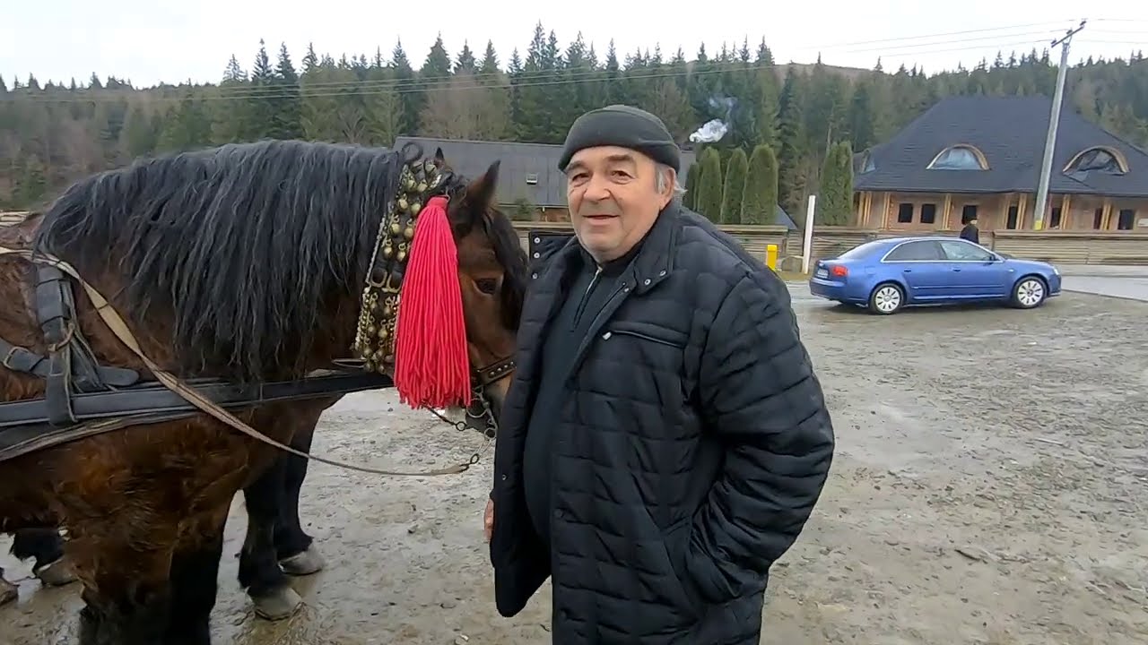 Caii lui Mihai Manasoi  de la Putna - Bucovina