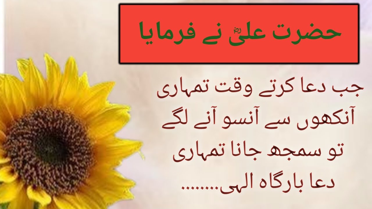 Aqwal e zareen of Hazrat ali|Life lesson quotes|Hazrat Ali motivational|Hazrat Ali ki fazilat