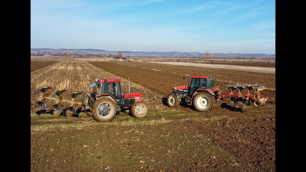 Spartanii de la Bihor-La arat cu tractoarele New Holland M 135 și Case International 956 XL