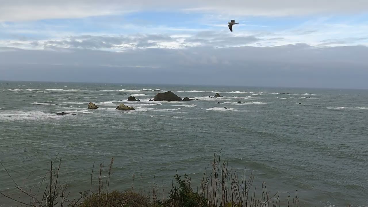 Relaxing video of Shore Acres State Park in Charleston, OR.