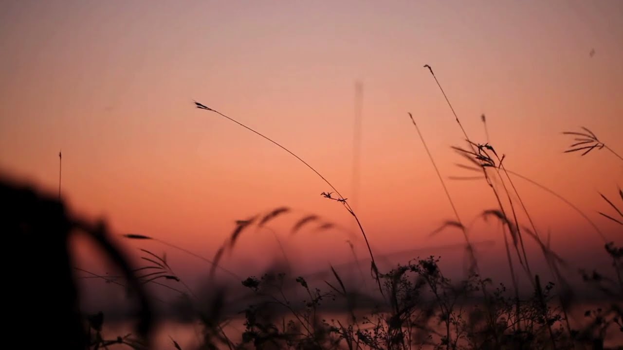 Quiet Your Mind Meditation