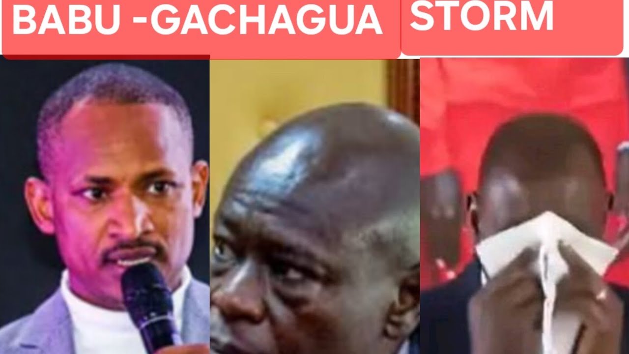 Бабу Овино и Ригати выбирают 