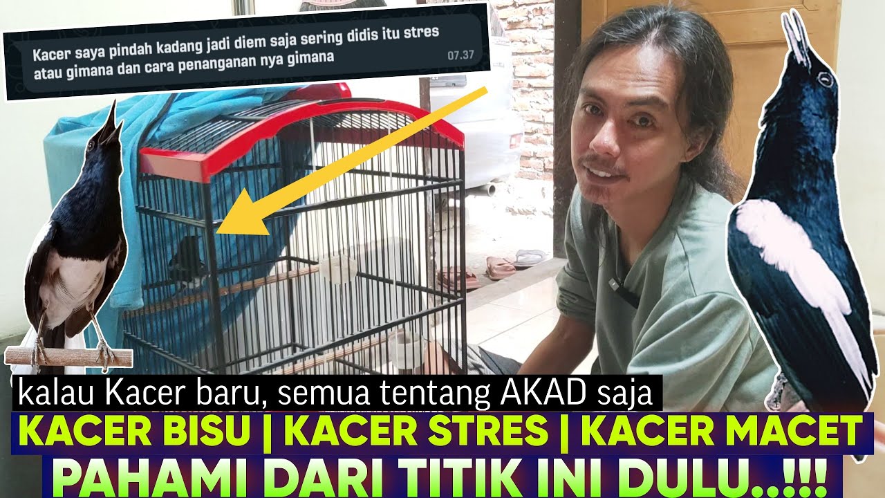 PAHAMI DARI TITIK INI DULU ‼️ Kacer Macet, Kacer Bisu, Kacer Stres LOGIKAnya begini saja