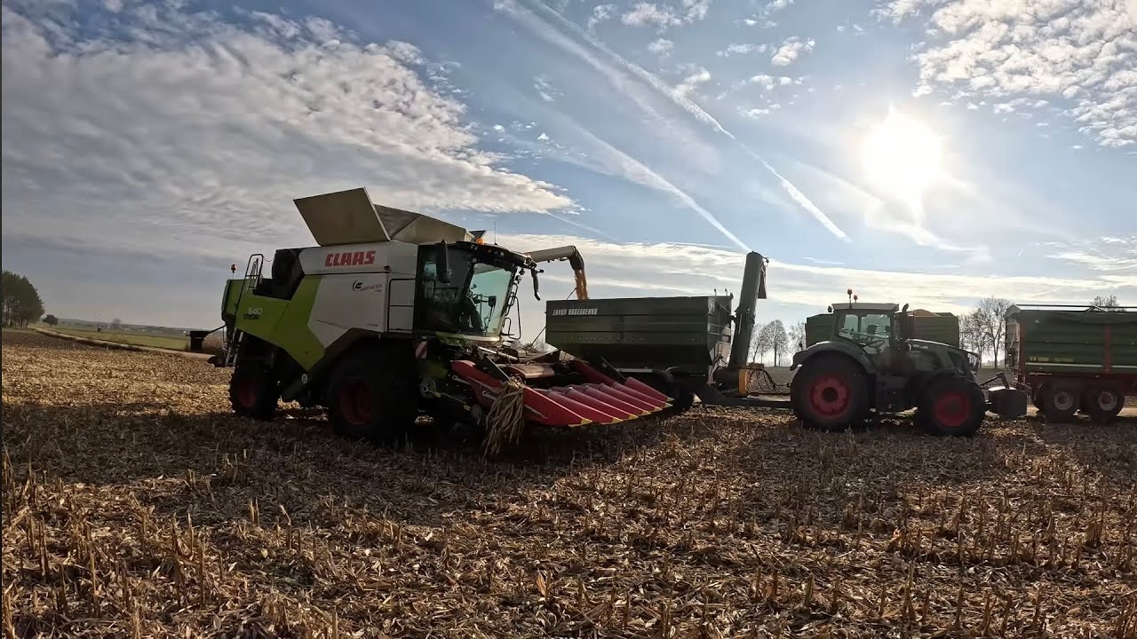 Dzień z poletkami kukurydzy 🌽 Taka wiedzą to potęga 💪 KWS, Chemirol, Pioneer