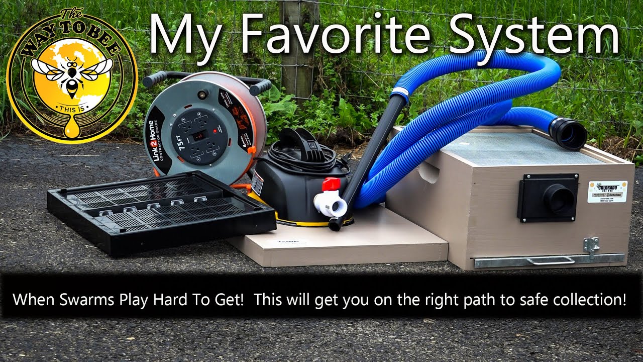 Colorado Bee Vac Complete Review, Swarm Captures and Installs, things to consider. Swarm Vacuum.