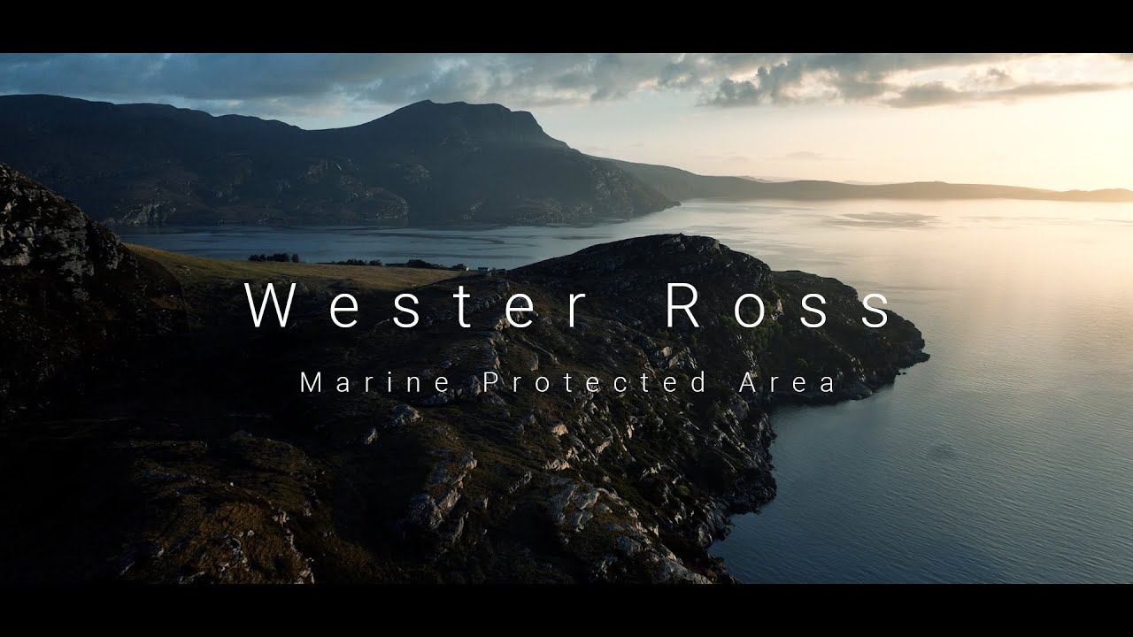 The Wester Ross Marine Protected Area