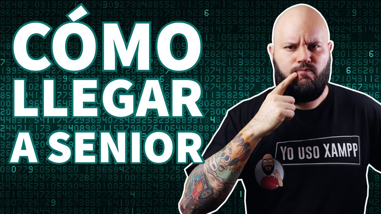 Niveles de Seniority en empresas de Software