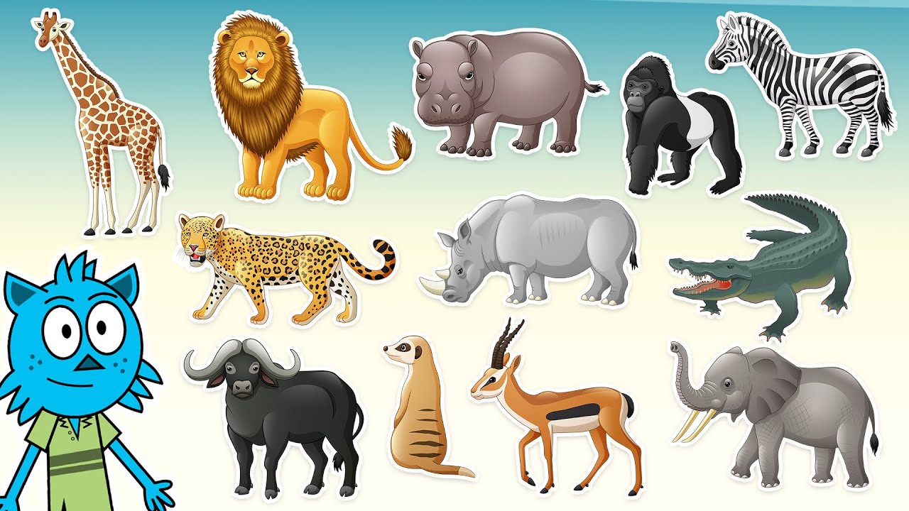 Gli Animali Africani 🐆🐘  | Video per bambini con i suoni reali degli animali!