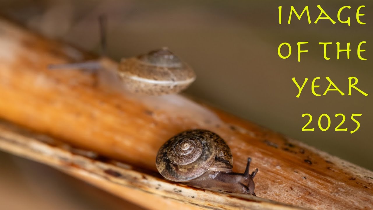 2025 год: фотография года