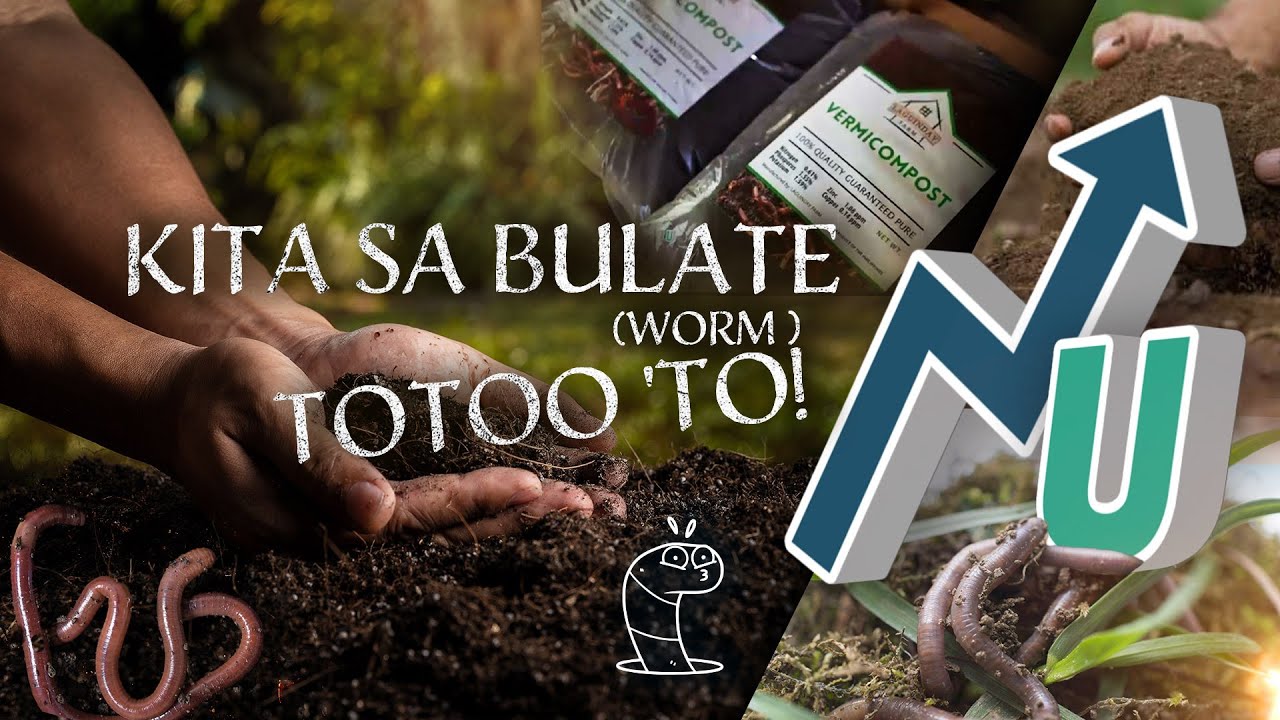 Vermiculture: Katuwang sa Organikong Pagsasaka | NegosUniversity
