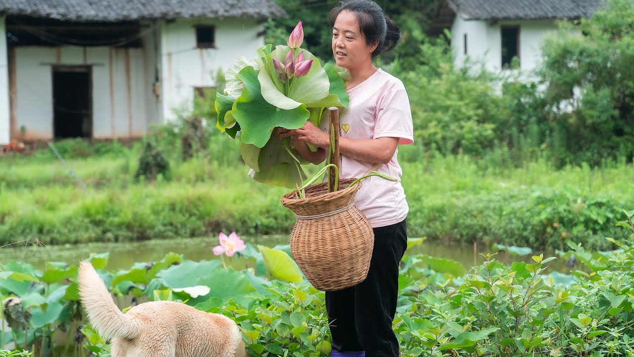 Each part of the lotus is an ingredient|白莲的每个部位，都是一道菜【乡野莲姐RuralLianjie】