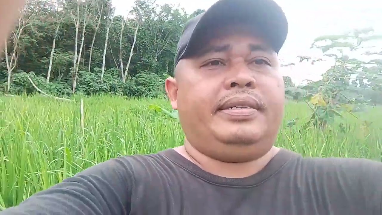 Anjangsana kelahan usaha tani, guna peninjauan perkembangan tanaman padi darat lokal.