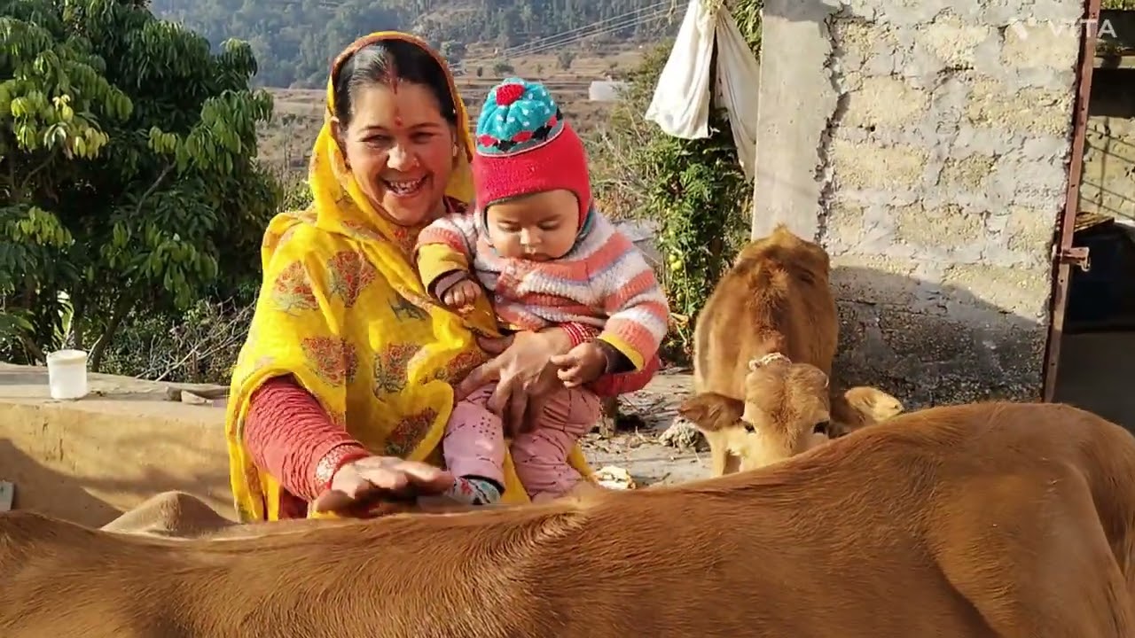 कल मकर संक्रांति पर्व की हार्दिक शुभकामनाएं गर्मी के सब्जी बीज पौध तैयारी 